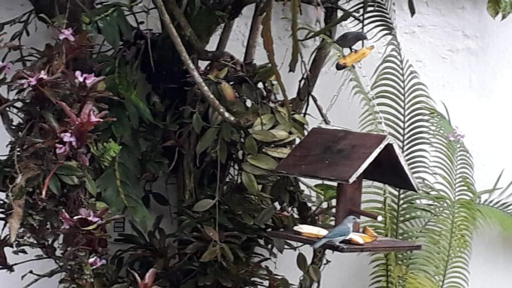 Suites Beija-Flor Araquari Exteriér fotografie